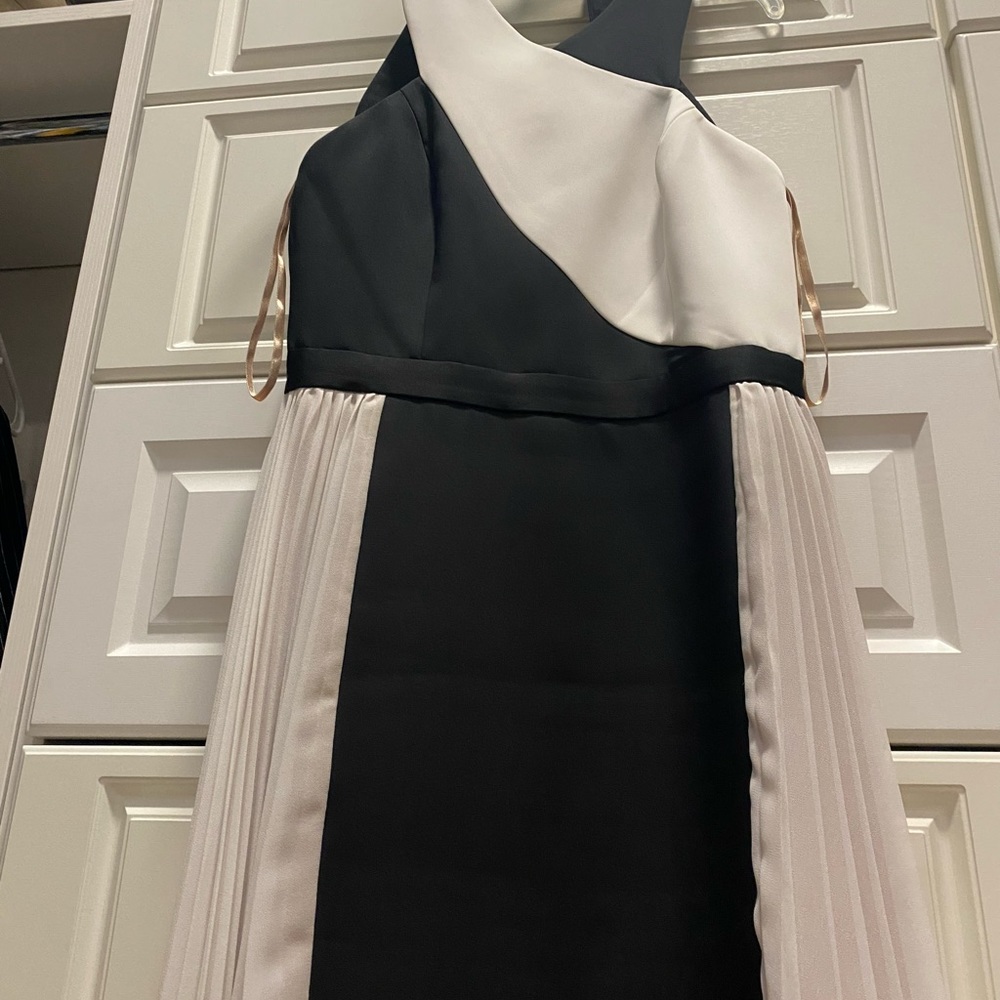 BCBG black and white dress